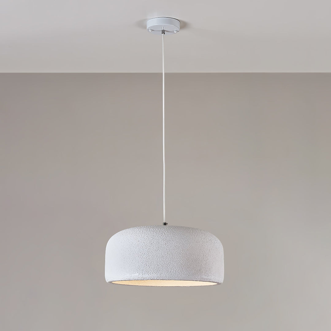 Organische Resin Hanglamp | Moderne Japandi Plafondlamp