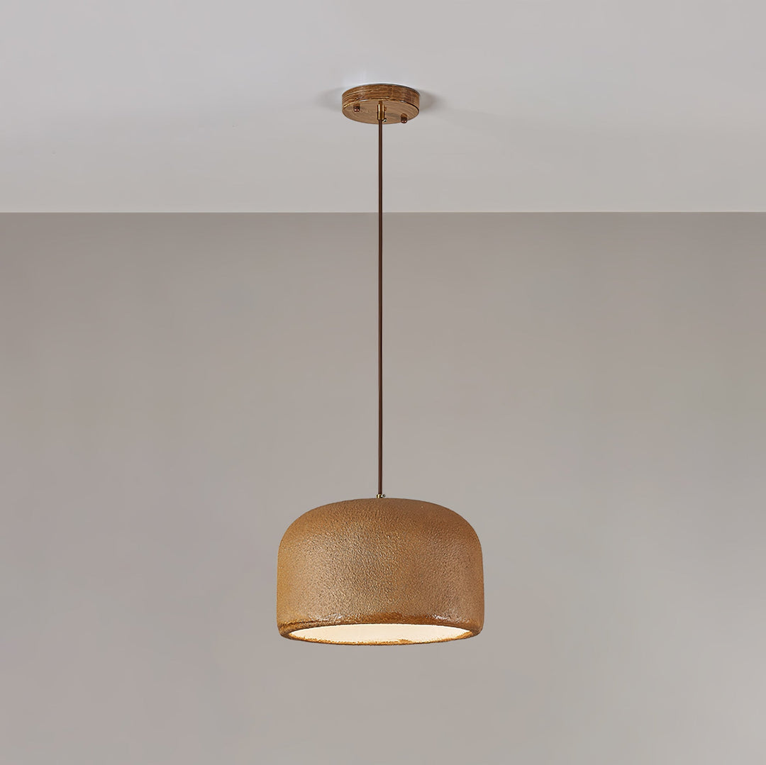 Organische Resin Hanglamp | Moderne Japandi Plafondlamp