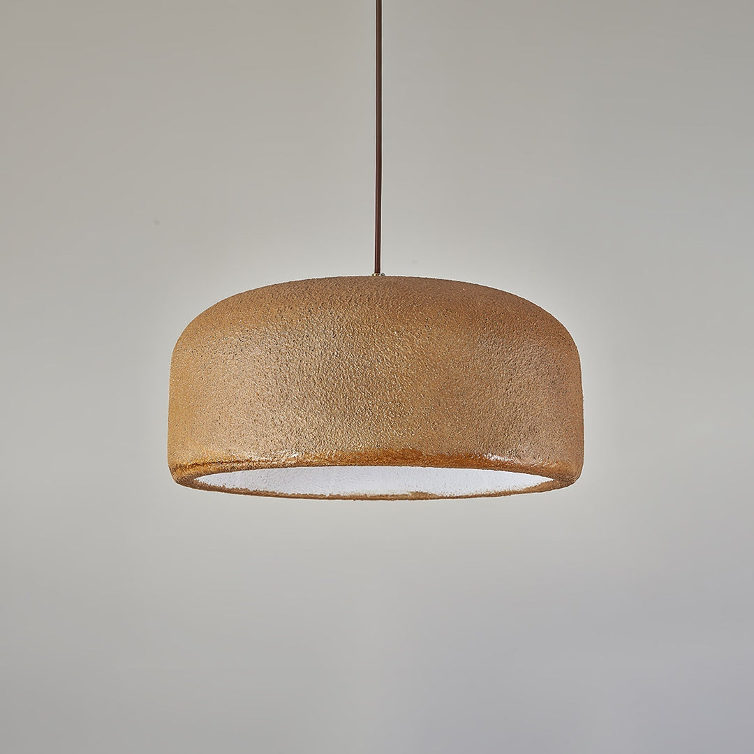 Organische Resin Hanglamp | Moderne Japandi Plafondlamp