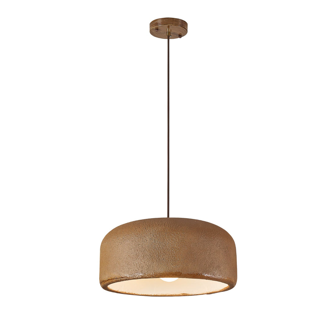 Organische Resin Hanglamp | Moderne Japandi Plafondlamp